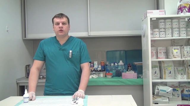 Как обработать рану животному смотреть онлайн