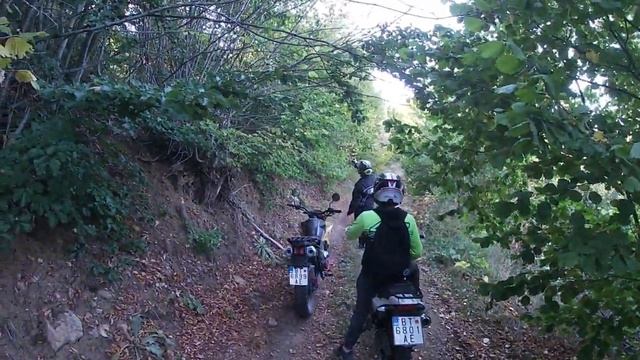 Drevenik. off road shineray xplorer200, Mondial, Hamachi смотреть онлайн