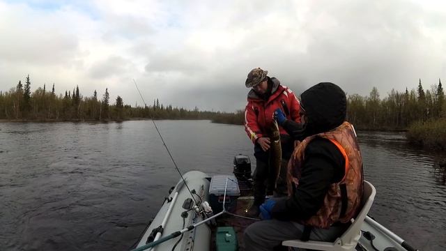 Чудзьявр. Кольский. Начало июня 2018. Рыбалка. смотреть онлайн