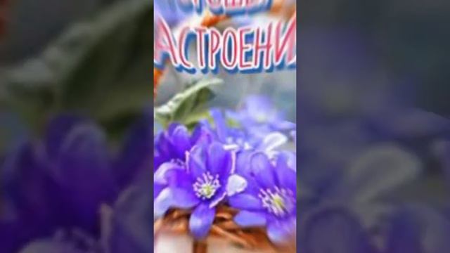 Добрый вечер🌙 и хорошего вам отдыха 🥰🥰🥰 смотреть онлайн