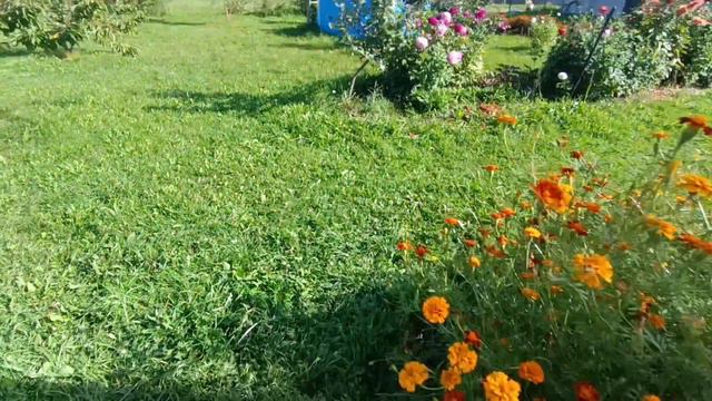 Псков🇷🇺❤