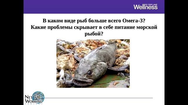 Велнесс вебинар Коберник Анна 18 02 16 смотреть онлайн