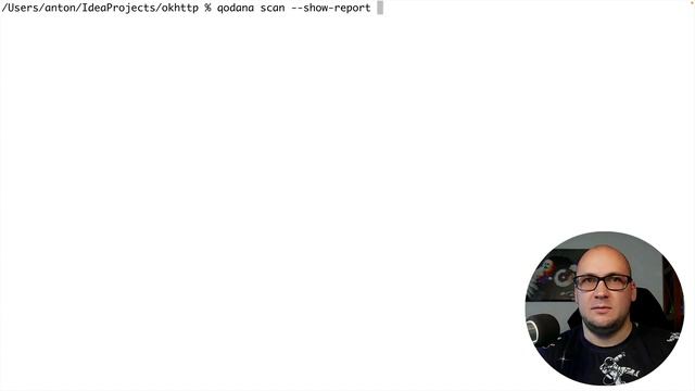 Get Started with Qodana CLI смотреть онлайн