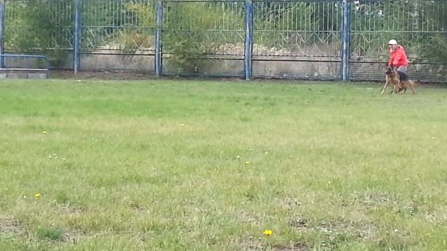 Зависть Богов Норбо смотреть онлайн