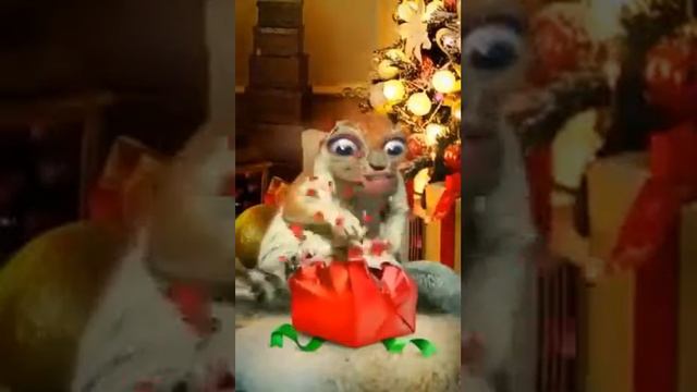 До слёз род елку смотреть онлайн