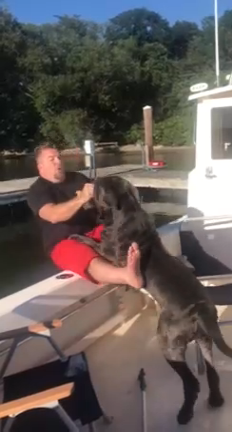 Покормил собачку смотреть онлайн