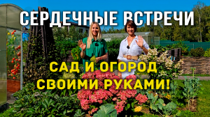 Сердечные встречи. Как создать сад с нуля своими руками. Выращивание томатов в теплице.