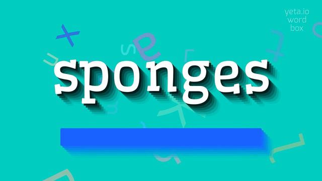 SPONGES - HOW TO SAY SPONGES? #sponges смотреть онлайн