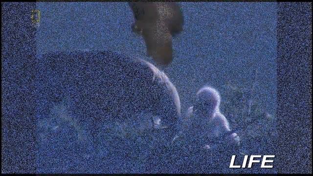 Научи меня летать группа LIFE смотреть онлайн