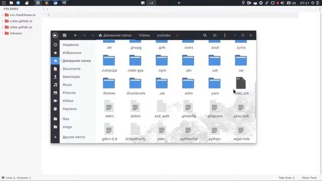 Шифрование и скрытие информации в Linux | Veracrypt и стеганография смотреть онлайн
