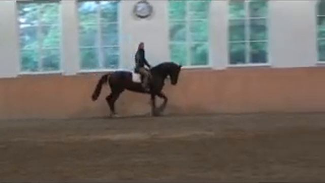 Barbara Beinwachs und Abrek van La Roche смотреть онлайн