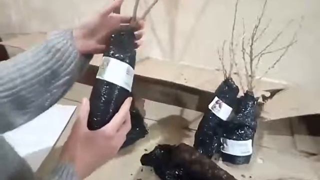 Распаковка посылки с Агро-Маркета смотреть онлайн