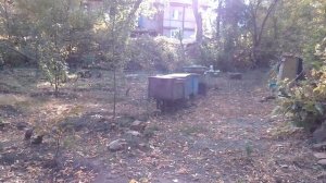 ЛЁГКИЙ СПОСОБ уменьшить ОСссс на пасике