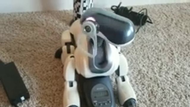 7 Days of Aibo ERS 7: Memory Game смотреть онлайн