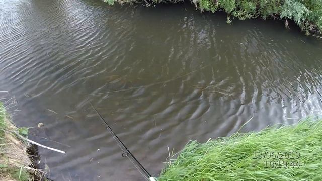 Рыбалка на реке с берега. Ловля щуки на воблеры. Отчет с рыбалки смотреть онлайн