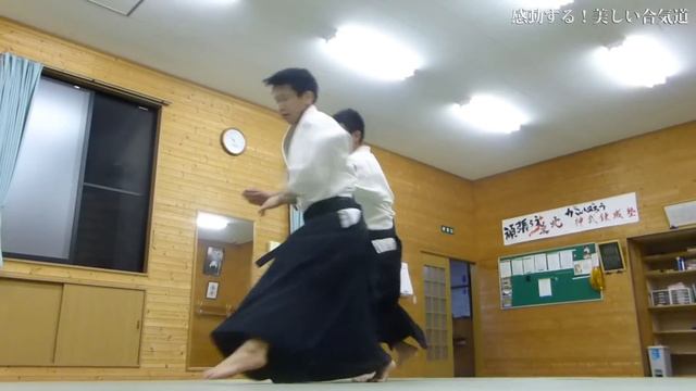 感動する！美しい合気道　Aikido Is Beautiful