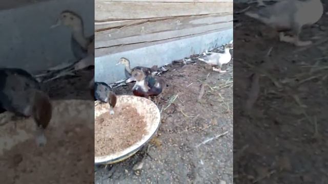 счастье есть на земле ❤ смотреть онлайн