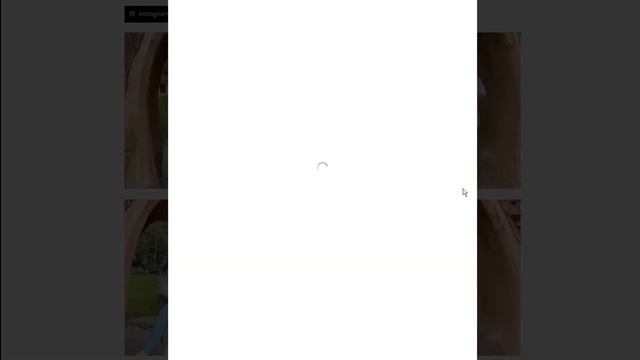 Instagram Profile Gallery | Models Gallery | Filter Gallery Pro WordPress Plugin | WPFrank смотреть онлайн