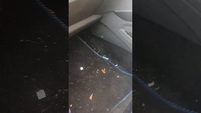 C Max Mk1 and facelift electrical problems. смотреть онлайн