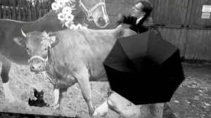 Трахнул тёлочку