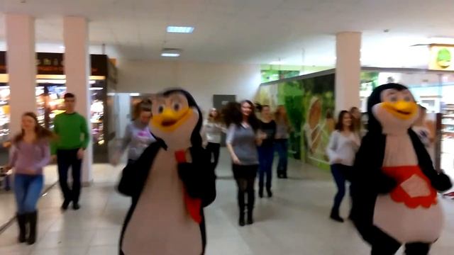 Флешмоб в Витебске смотреть онлайн