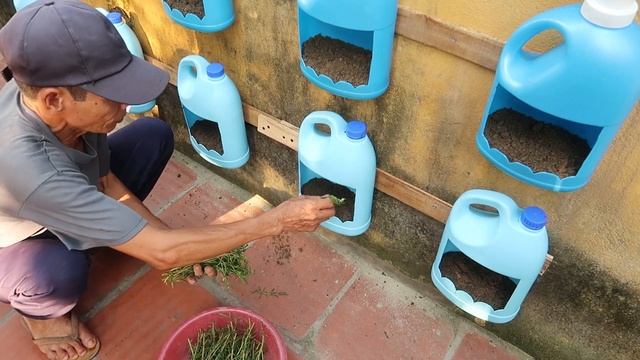 Planting Portulaca (Moss roses) on Wall, Perfect Ideas for Small Gardens смотреть онлайн