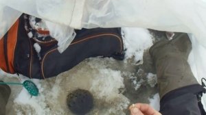 Ловля ельца | Зимняя рыбалка на мормышку | Ловля рыбы в снегопад.