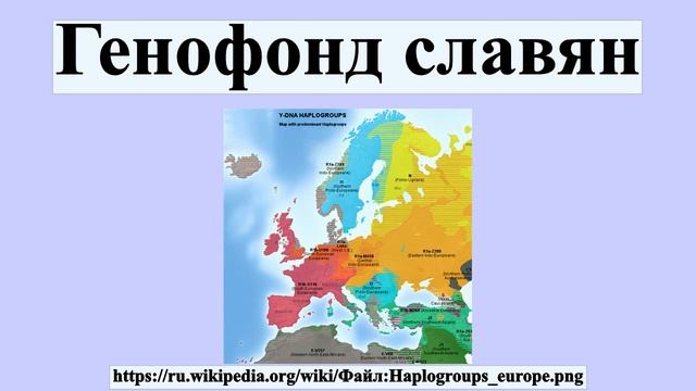 Генофонд славян смотреть онлайн