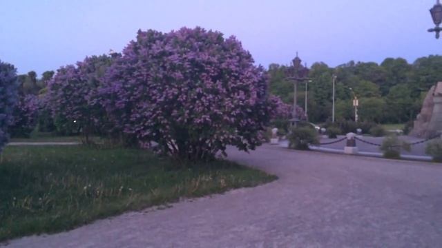 Таллин монумент Русалочка смотреть онлайн