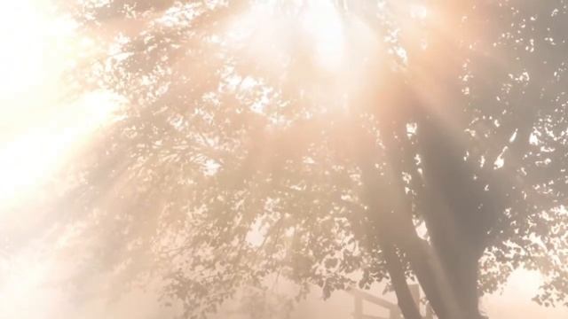 ПРИОДЕЛАСЬ ОСЕНЬ ШАЛЬЮ ЛУЧШЕЮ... /христианский стих/ читает автор Анна Юркин смотреть онлайн