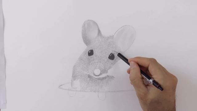 How to Draw a Mouse With a Mechanical Pencil - Animal Hair - Rat Fur смотреть онлайн