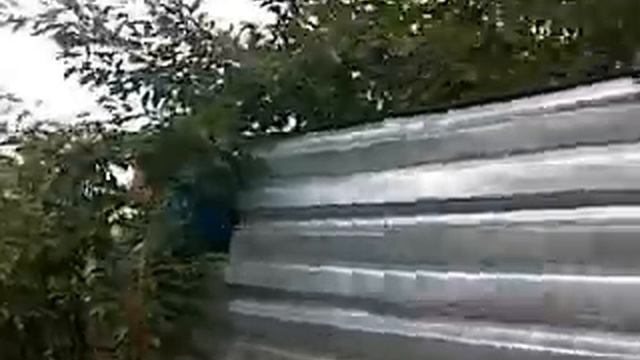 Шурик ворует вишню смотреть онлайн