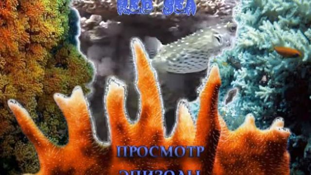 Пример самодельного меню для ДВД. смотреть онлайн