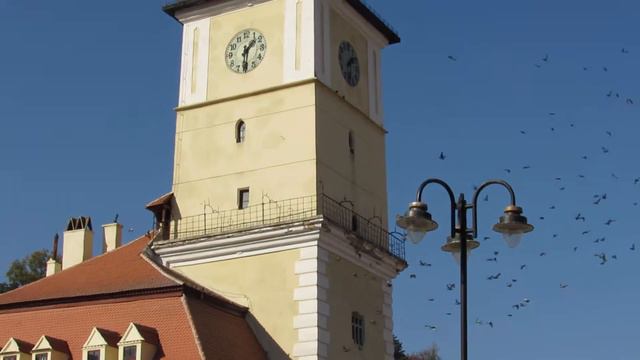 Canon SX40 HS Video TEST Full HD смотреть онлайн