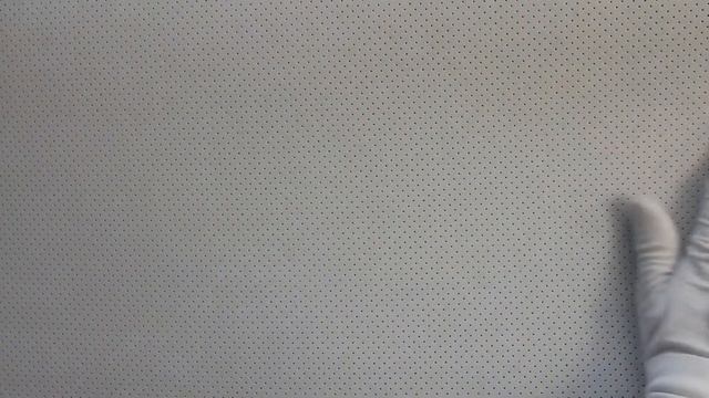 Экокожа Орегон перфорированная на поролоне с подложкой БЕЛОСНЕЖНАЯ смотреть онлайн