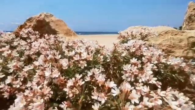 Ayia Thekla Beach - June 2021 - 2 смотреть онлайн