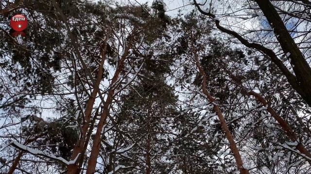 Парк Солнечный остров Краснодар 2021 зимаThe Solnechny Ostrov Sunny Island Park смотреть онлайн