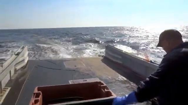 Setting the Trawl смотреть онлайн