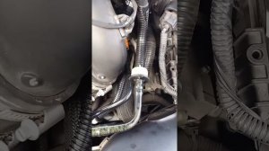 Ford fusion check engine light, and gas consumption.