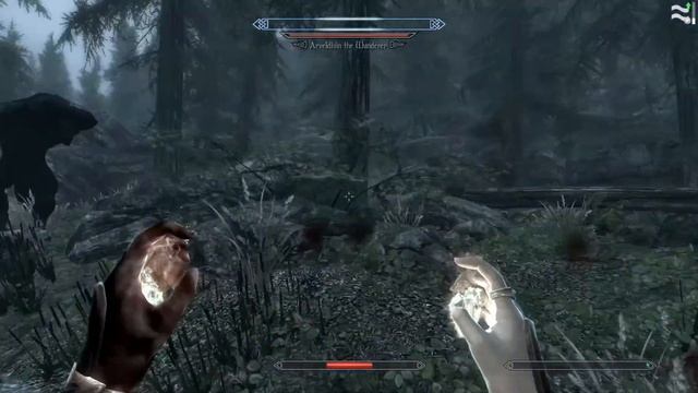 Enderal - Arveldhiin The Wanderer смотреть онлайн