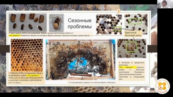 Apis Cerana. Биология и пчеловодство.