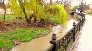 РЫБАЛКА В КРЫМУ,САЛГИР,ЛОВЛЯ ГОЛОВЛЯ.