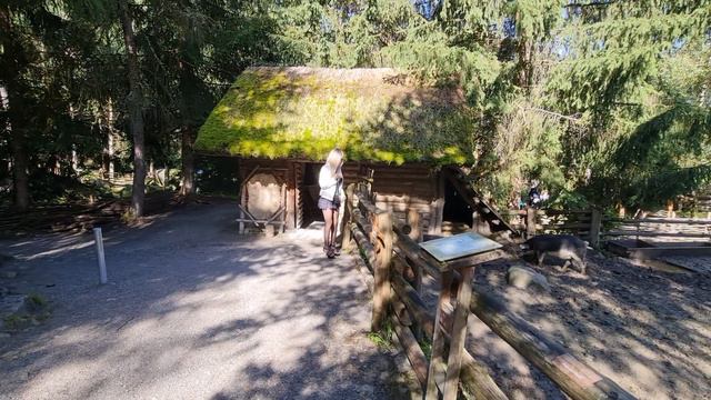 ☀️ЭТЦИ⛏️ Ötzi🪓ИСТОРИЯ ЛЕДЯНОГО ЧЕЛОВЕКА ЭТЦИ ЖИВШЕГО 5300 ЛЕТ НАЗАД ☀️ смотреть онлайн