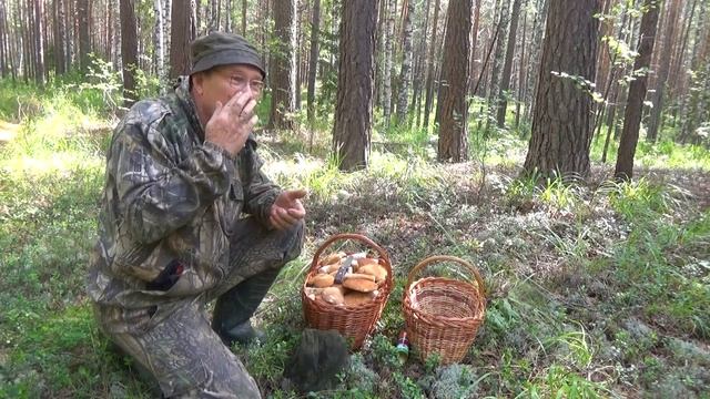 Белый гриб. смотреть онлайн