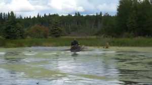 Покатушки по болотам на квадроциклах