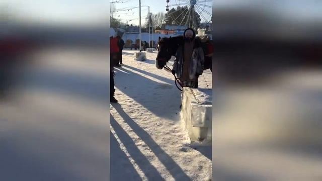 Конный прокат.Как грамотно организовать городской конный прокат?Организация конного проката! смотреть онлайн