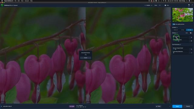 TOPAZ DENOISE AI: FIRST LOOK (New Update V2.4.1) смотреть онлайн