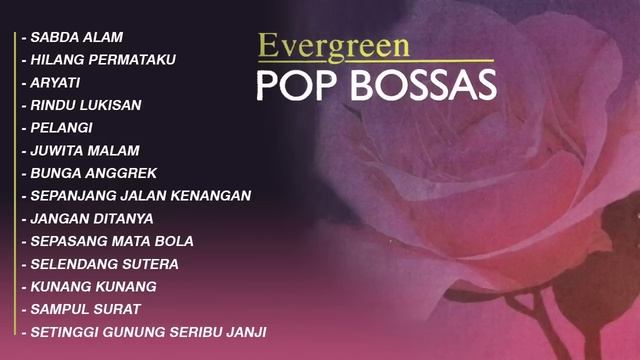 ALBUM NETTA KD - EVERGREEN POP BOSSAS смотреть онлайн