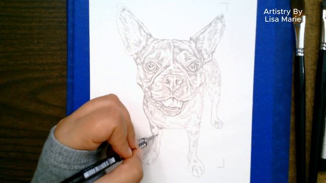 Sketching a Custom Pet Portrait: Lovely Time Lapse Art! смотреть онлайн