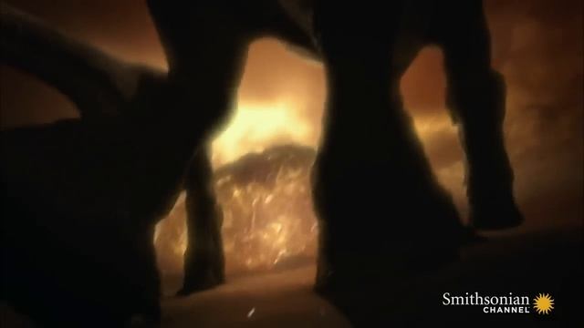 How a Single Asteroid Wiped Dinosaurs Off This Planet смотреть онлайн